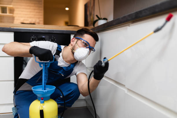 Best Mosquito Control Services  in Pocahontas, AR