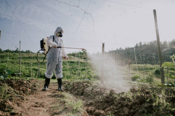 Best Ant Control Services  in Pocahontas, AR
