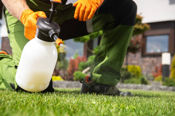 Best Residential Pest Control  in Pocahontas, AR