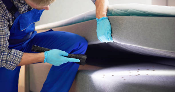 Best Bed Bug Extermination  in Pocahontas, AR