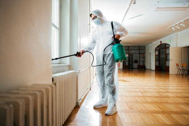 Best Wildlife Control Services  in Pocahontas, AR