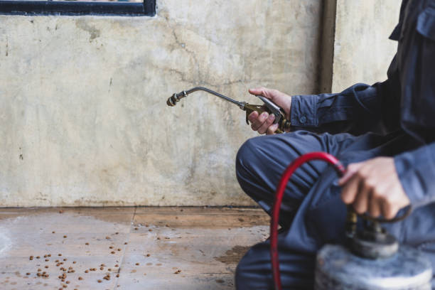 Best Pest Removal Services  in Pocahontas, AR